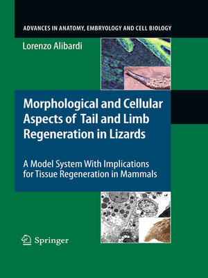 cover image of Morphological and Cellular Aspects of Tail and Limb Regeneration in Lizards
